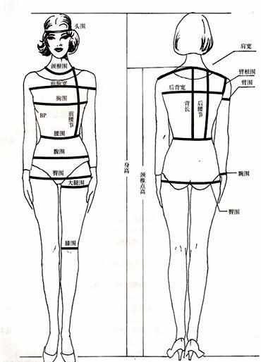 五个围度部位是什么,腰围怎么量图2
