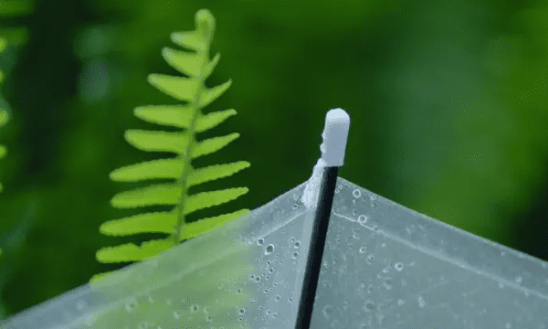 如何拍摄雨景,下雨天怎么拍摄雨景图1