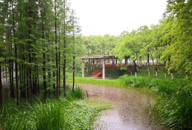 如何拍摄雨景,下雨天怎么拍摄雨景图8