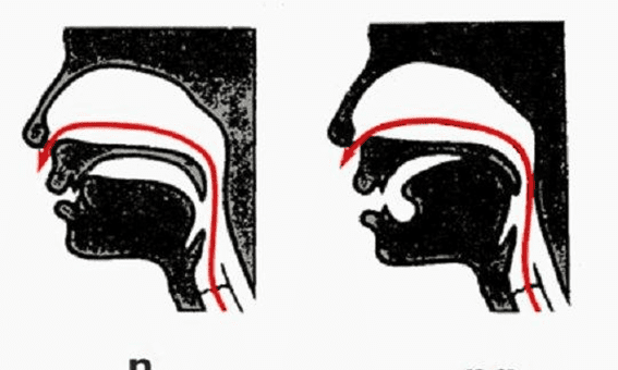 怎么区分前后鼻音,怎么分辨前鼻音和后鼻音的妙招图2