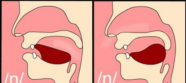 怎么区分前后鼻音,怎么分辨前鼻音和后鼻音的妙招图4