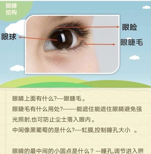 自然走路眼睛要看哪里,一个人走路眼睛看哪里显得自然一点图1