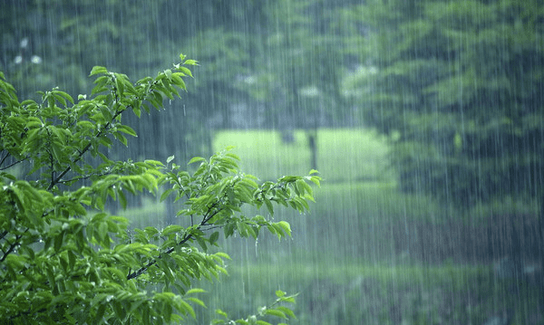 浙江几月份是梅雨季节,浙江梅雨季节2023什么时间入梅出梅图4