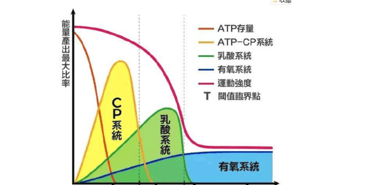 人体内有三大供能系统它们分别是,人体三大供能系统及各自特点图5