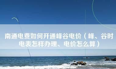 什么是谷电量和峰电量,电表中谷 峰是什么意思图3