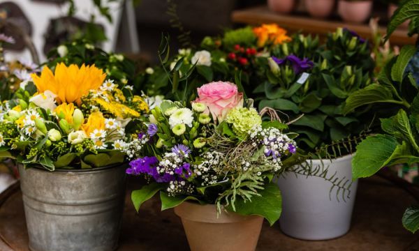 怎么样自制浇花肥水,家庭如何自制芝麻酱图3