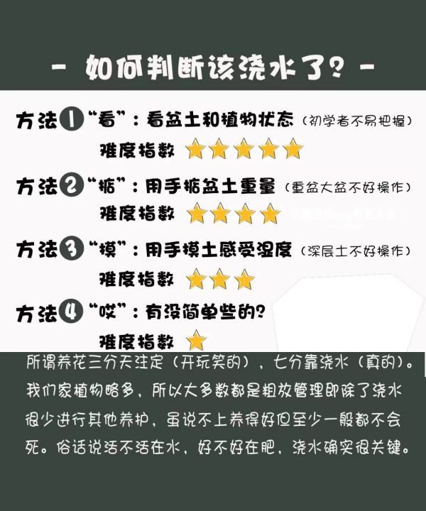 怎么判断见干见湿,见干见湿和干透浇透有什么区别图7