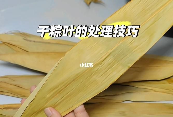 新鲜粽叶怎么处理不容易裂,粽叶总是破了怎么处理图3