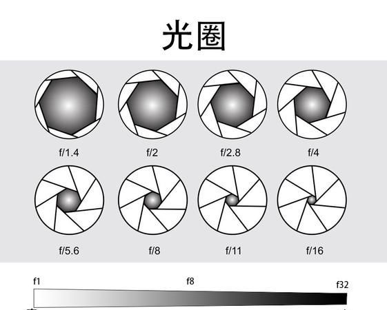 感光度是什么意思,感光度是什么意思光线充足时应该怎样选择感光度