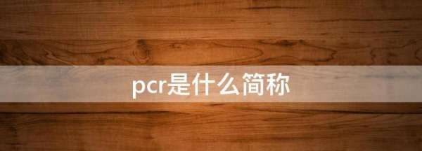 pcr是什么简称,pcr是什么意思图3