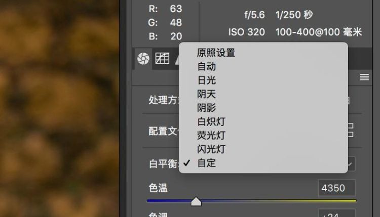 camera raw怎么调色,cameraraw怎么调色温