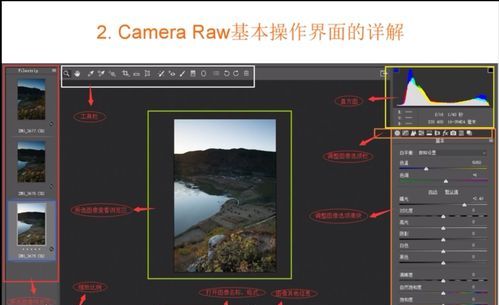 camera raw怎么调色,cameraraw怎么调色温图4