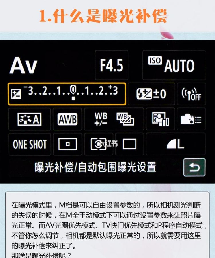 如何使用曝光补偿,佳能单反相机曝光补偿怎么调图1