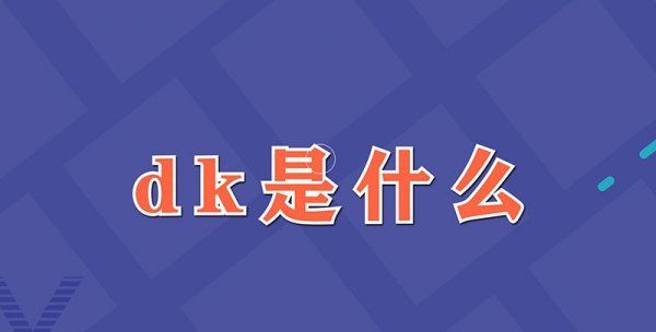 网络dk是什么意思,dk是啥意思是什么图2