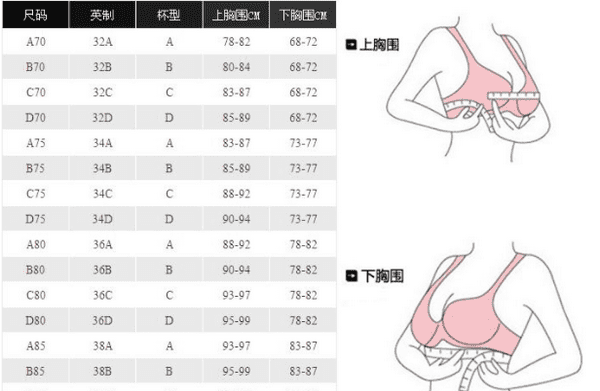 怎么看罩杯的大小,胸罩怎么看罩杯的大小图4