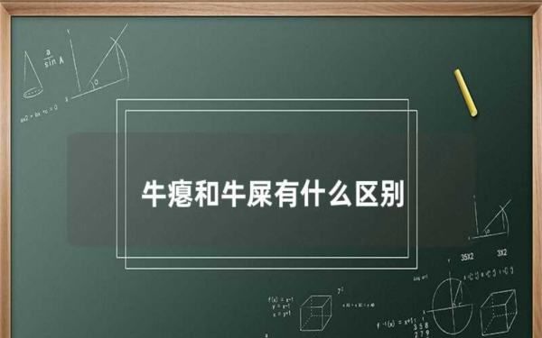 牛瘪和牛屎有什么区别,牛瘪汤相当于屎汤