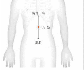 上脘中脘下脘的准确位置图和作用,中脘的准确位置作用与功效图2