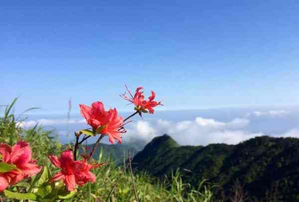 武功山什么季节去最好,七月底武功山上面温度怎么样图6