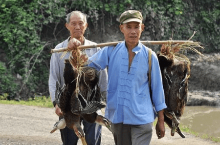 起个大早赶个晚集什么意思,起个大早赶个晚集什么意思图3