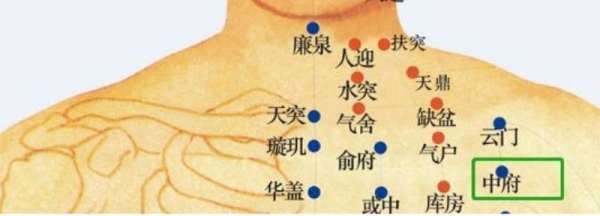 云门的准确位置图和作用,云门的准确位置的作用和功效图2