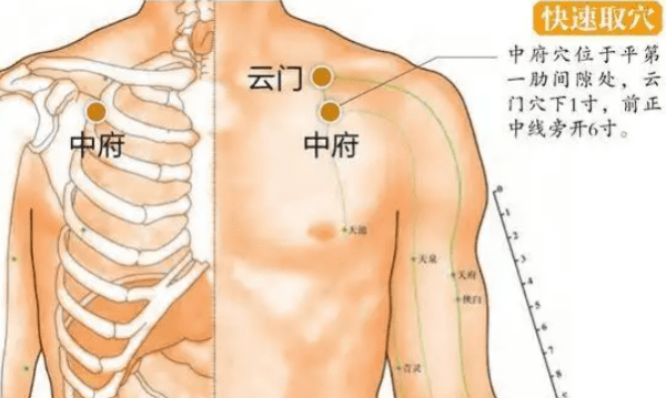 云门的准确位置图和作用,云门的准确位置的作用和功效图4