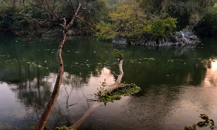 尼康d700拍风景用什么镜头,尼康z7ii配什么镜头好图2