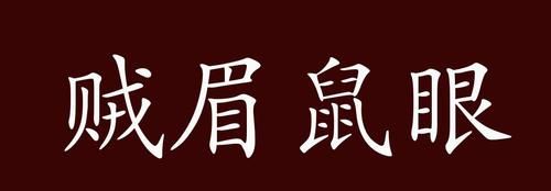 贼眉鼠眼的贼眉是指什么,贼眉鼠眼是什么意思图5