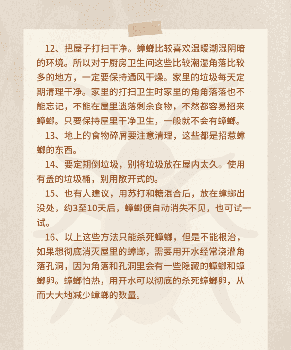 什么东西可以除蟑螂,驱蟑螂用什么方法效果最好图6