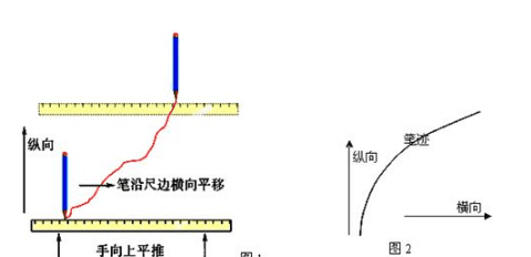 什么是纵向和横向,何为纵向横向图2