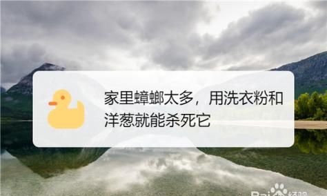 屋里全撒洗衣粉能除蟑螂,为什么洗衣粉能杀蟑螂图1