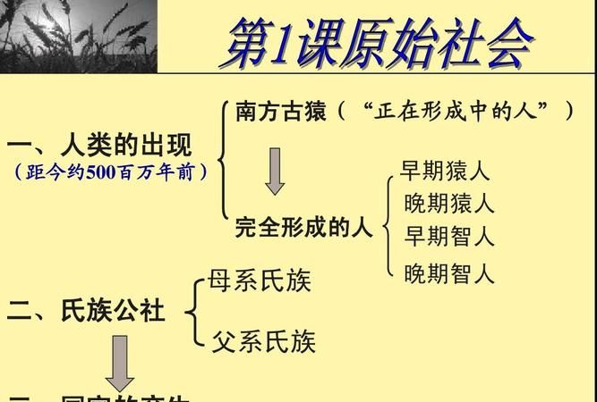 母系氏族社会的特点,历史母系氏族和父系氏族各有什么特点图1