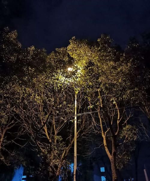 如何拍摄路灯夜景,手机拍城市夜景的参数图3