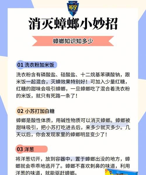 灭蟑螂的小妙招,快速消灭蟑螂的小妙招有哪些图7