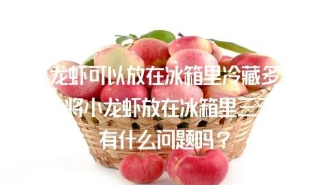 活龙虾能放冰箱冷藏,活小龙虾放冰箱冷藏能放几天图3