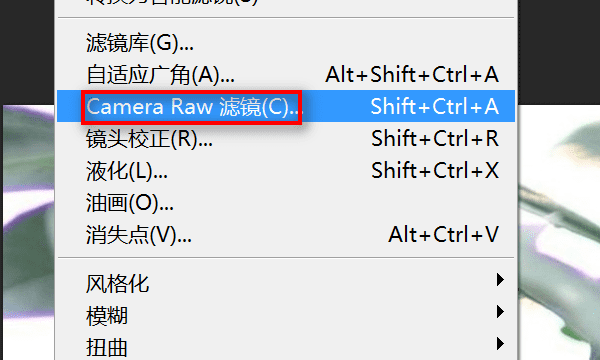 照片偏紫怎么处理,数码相机拍照设置错了拍出照片偏紫色图7