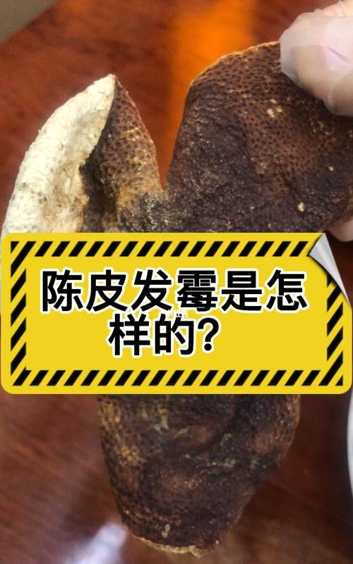 陈皮发霉还可以吃,陈皮发霉还可以吃 陈皮发霉怎么处理图2