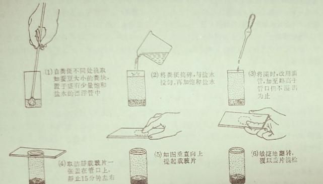 饱和盐水如何配,饱和盐水盐和水的比例是多少图1