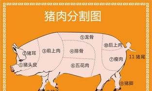 红烧肉一般买哪个部位,红烧肉的五花肉选哪个部位图5