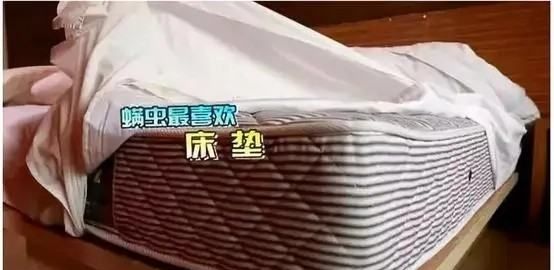 除螨包放在床上有毒,除螨虫包放在床上对身体有危害图1