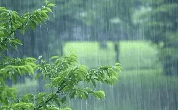 江西梅雨季节是什么时间,浙江的梅雨季节是什么时候图4