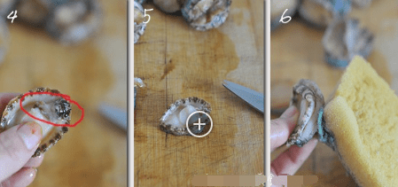 鲍鱼怎么杀和清洗,如何杀鲍鱼教程图2