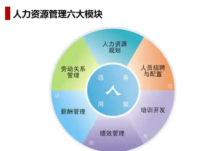 人力资源六大模块有哪些,人力资源六大模块包括哪些内容选一个你会选哪个理由图3