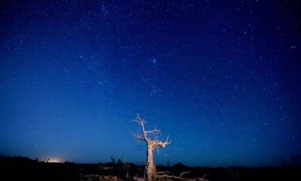 拍夜空用什么相机,想买个单反相机怎么选择图4