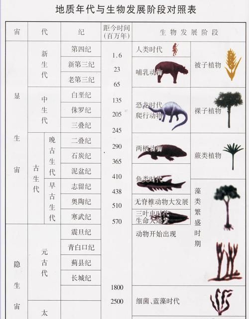 地质年代怎么样划分,地质时代是什么图4