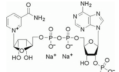 fadh2是什么的简称,专业高手解释 NAD 、 NAD+ 、 NADH 、 NADH2、和 FAD FAD+ FADH2图2