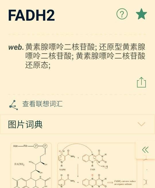 fadh2是什么的简称,专业高手解释 NAD 、 NAD+ 、 NADH 、 NADH2、和 FAD FAD+ FADH2图3