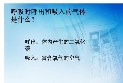 人的呼吸方式有哪三种,常见的呼吸方式有哪几种图1