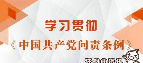 问责是什么处分,问责算不算党纪政务处分图6