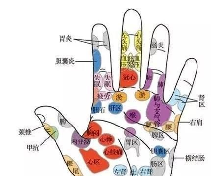 五个手指代表哪五脏,听说五个手指也代表了身上的某些器官