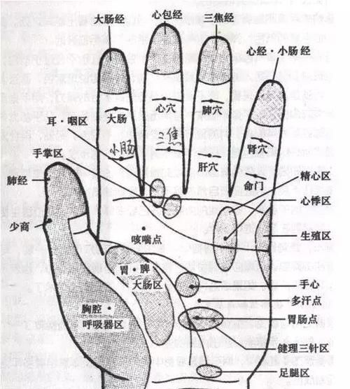 五个手指代表哪五脏,听说五个手指也代表了身上的某些器官图3